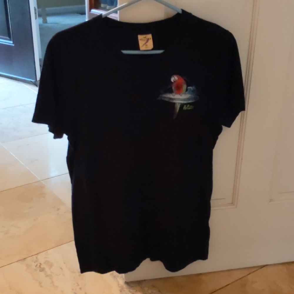 Hollister t-shirt